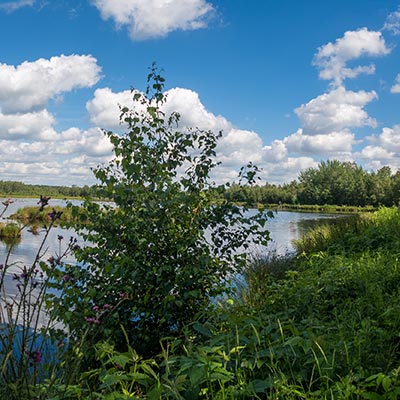 Natur